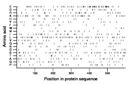 amino acid map