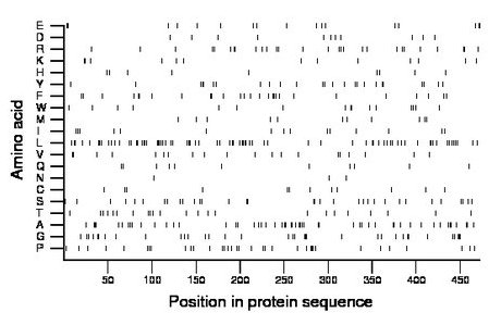 amino acid map