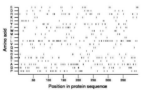 amino acid map