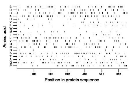 amino acid map