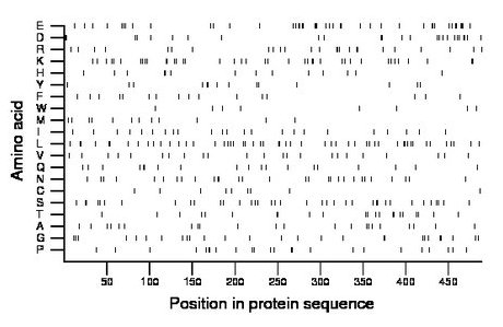 amino acid map