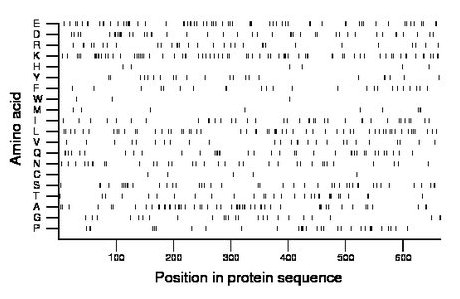 amino acid map