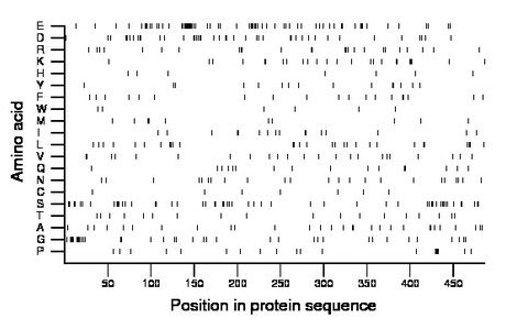 amino acid map