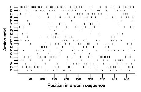 amino acid map