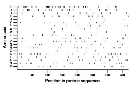 amino acid map