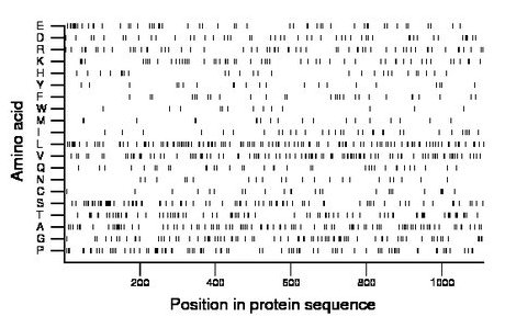 amino acid map