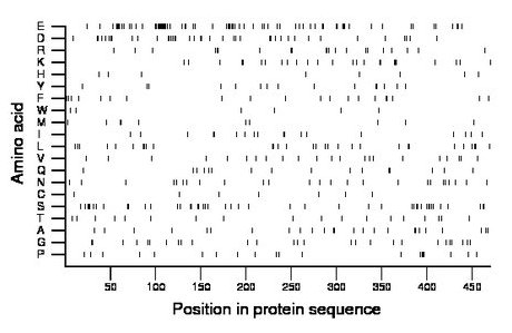 amino acid map