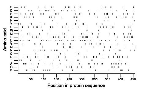 amino acid map