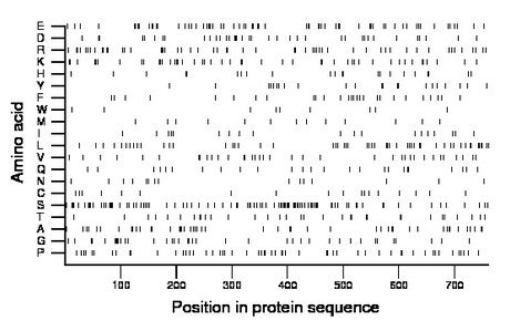 amino acid map