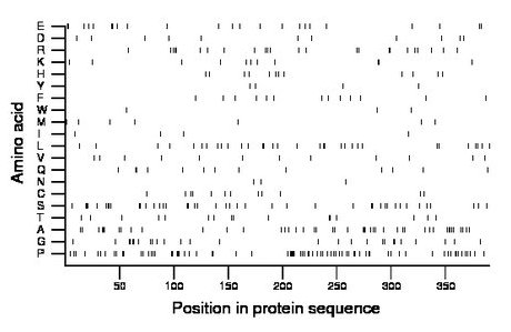 amino acid map