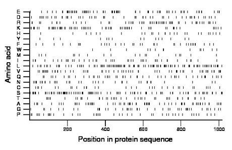 amino acid map