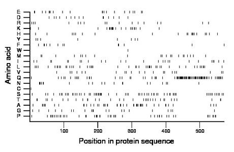 amino acid map