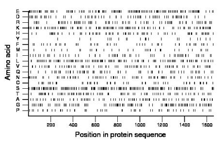 amino acid map