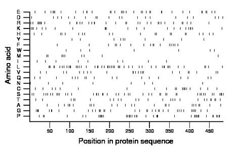 amino acid map