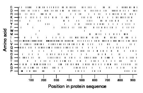 amino acid map