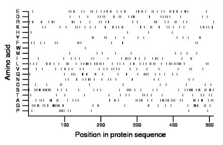 amino acid map