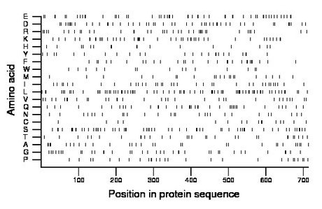 amino acid map