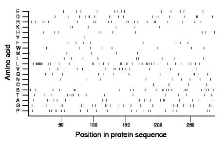 amino acid map