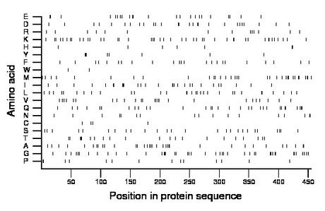 amino acid map