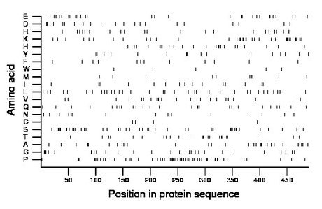 amino acid map