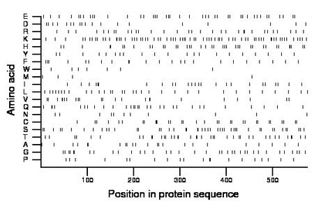 amino acid map