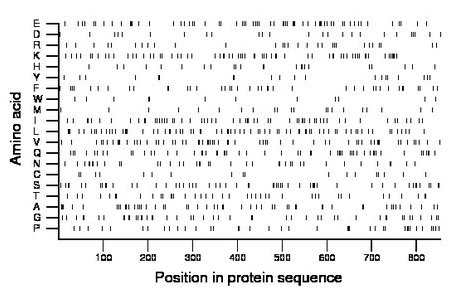 amino acid map