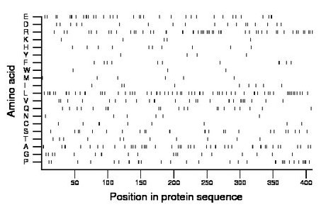 amino acid map