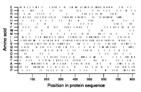 amino acid map