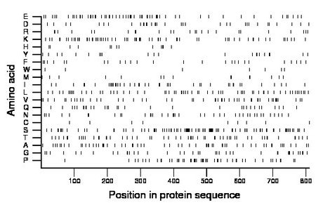 amino acid map