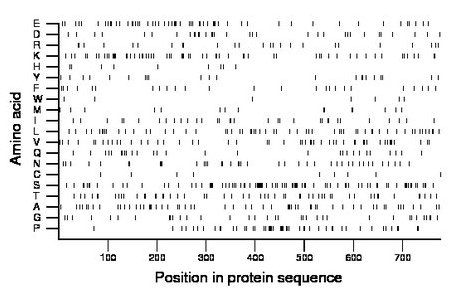 amino acid map