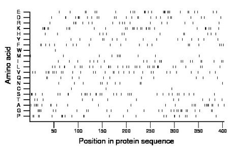 amino acid map