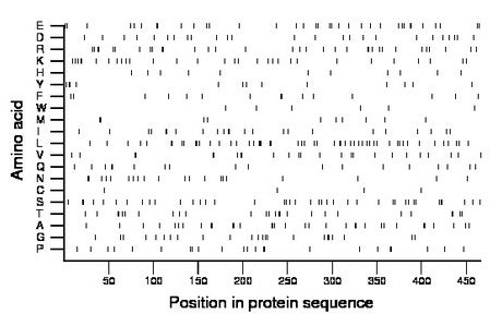 amino acid map