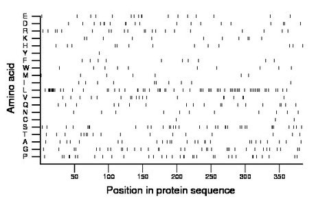 amino acid map