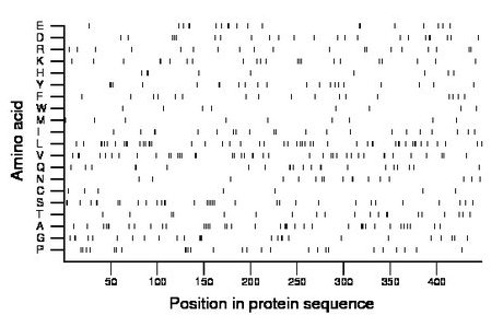 amino acid map