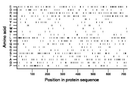 amino acid map