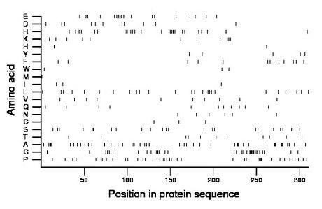 amino acid map