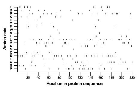 amino acid map