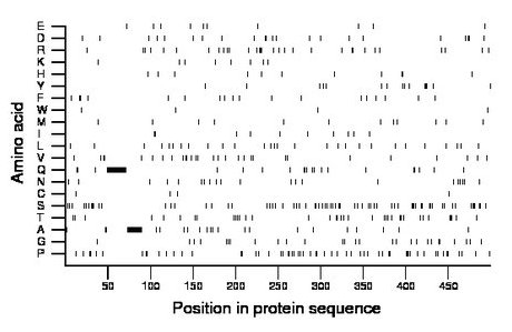 amino acid map