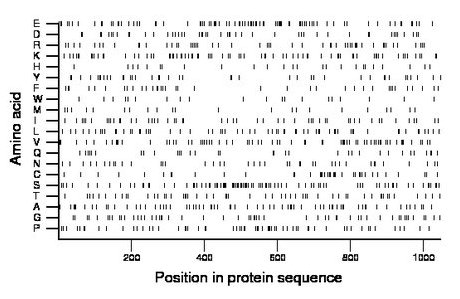 amino acid map