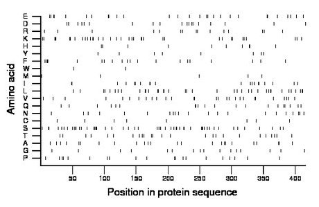 amino acid map