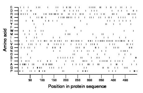 amino acid map