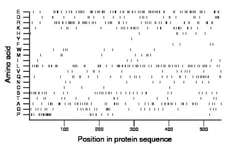 amino acid map