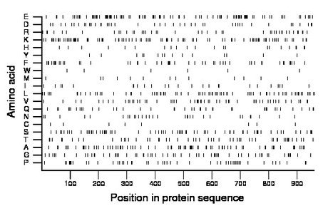 amino acid map