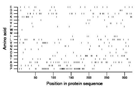 amino acid map