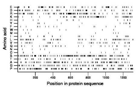 amino acid map