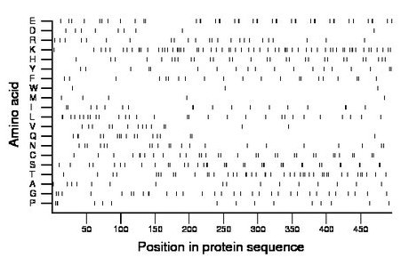 amino acid map