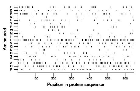 amino acid map