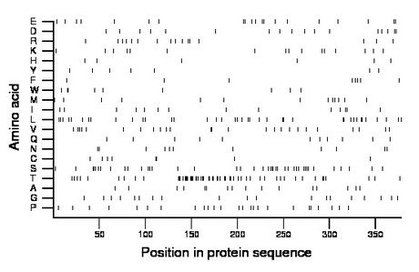 amino acid map