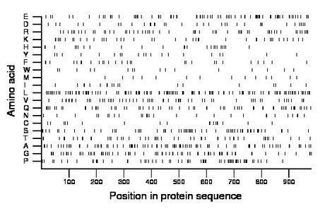 amino acid map