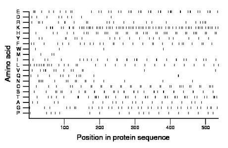 amino acid map